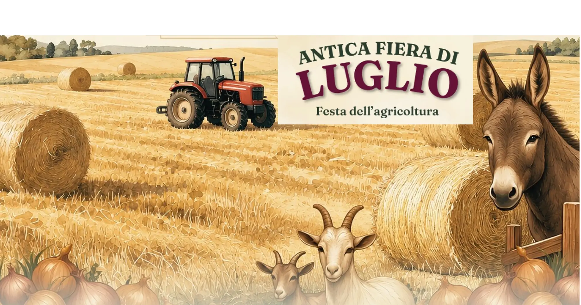 Medicipolla - Antica fiera di luglio - XXIV edizione