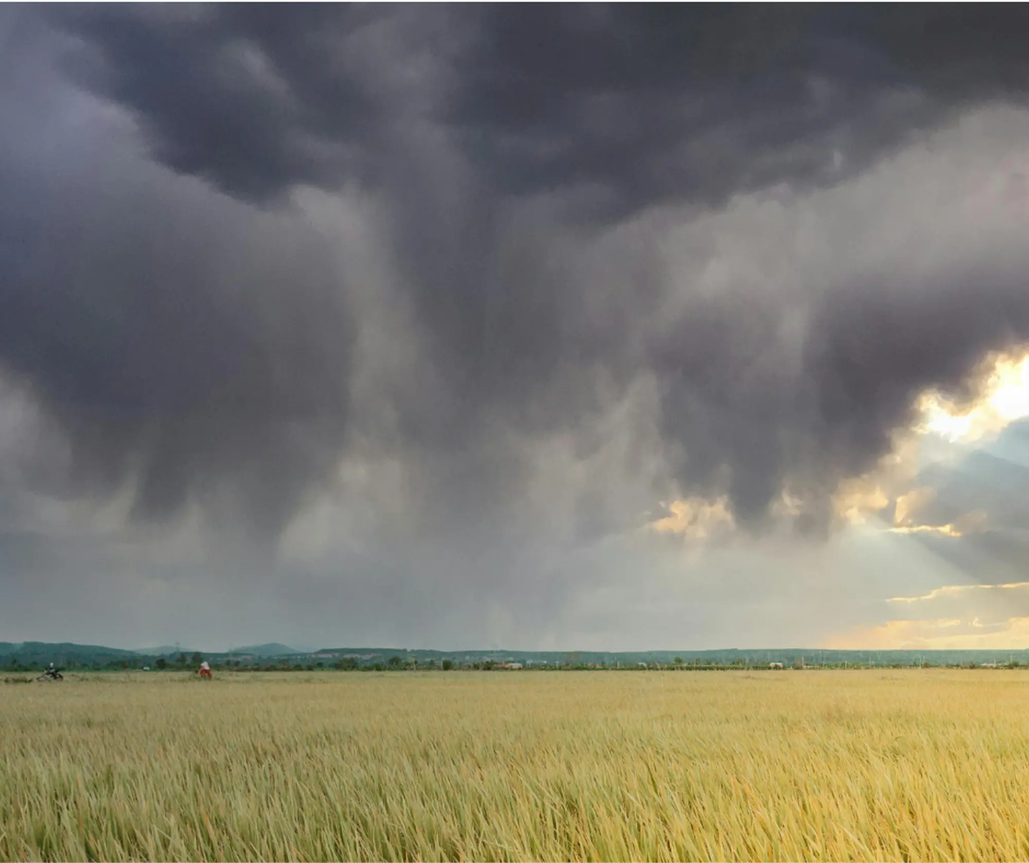 Mercoledì 15 luglio, allerta meteo per temporali e vento