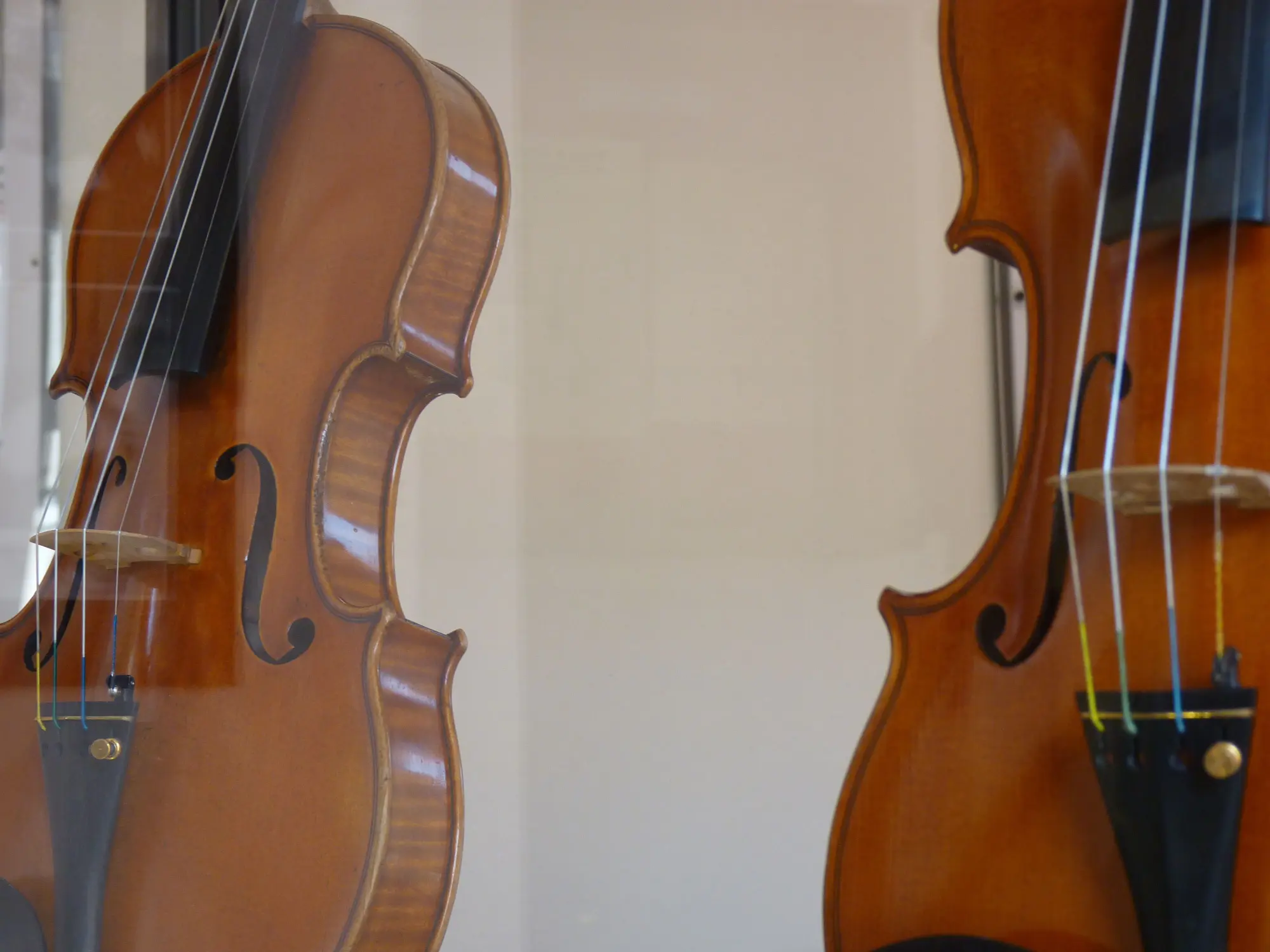  Museo Civico di Medicina