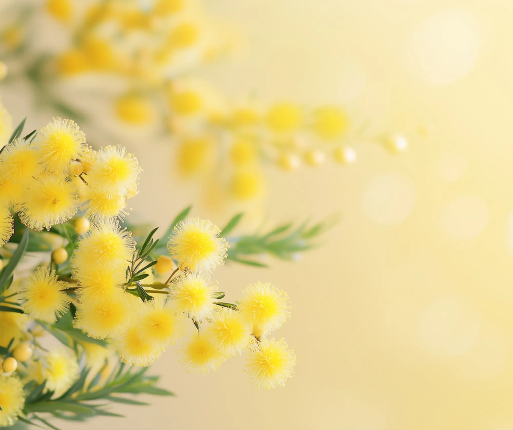 Aperitivo e pranzo a buffet in occasione della Giornata internazionale dei diritti della donna