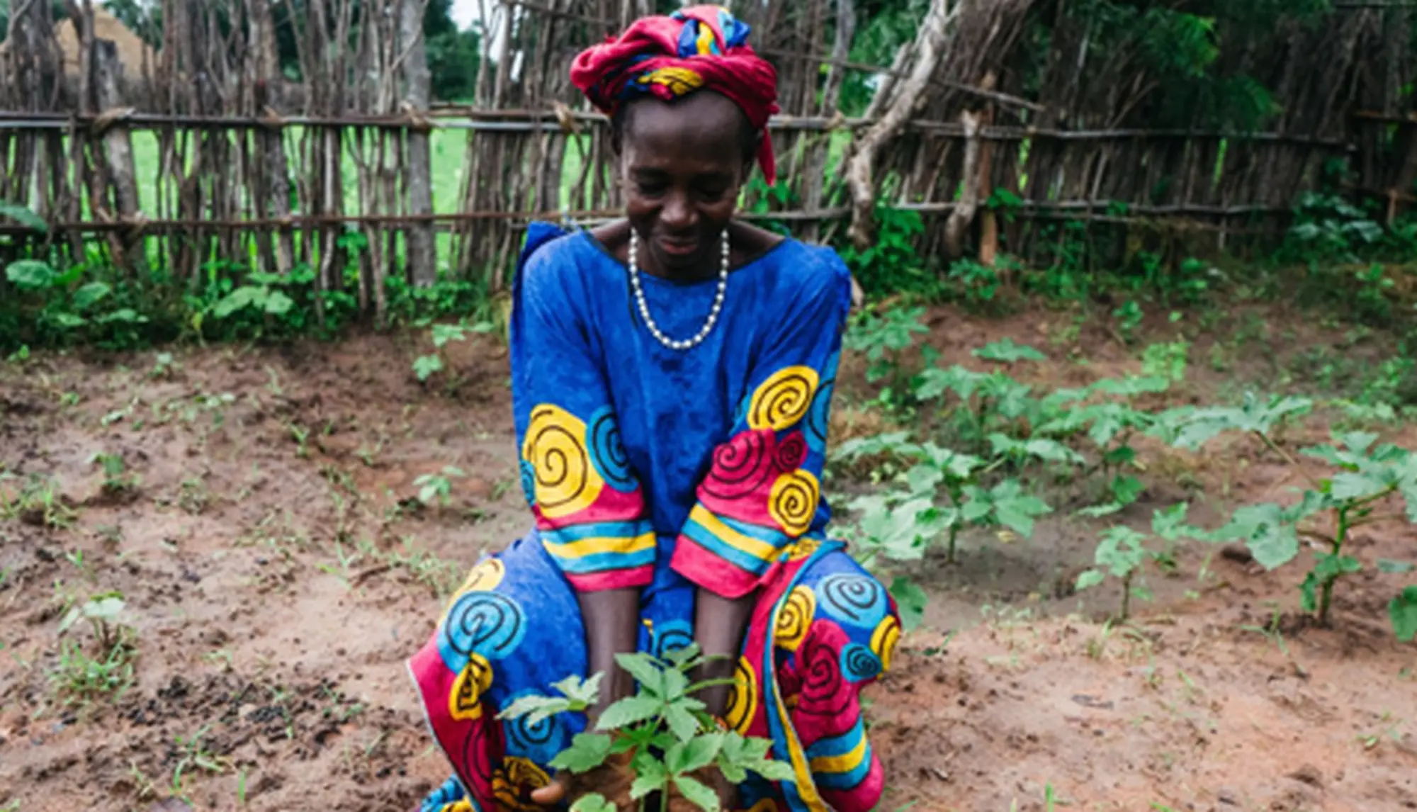 Multicolore: donne che colorano la diversità in modo spez/ciale