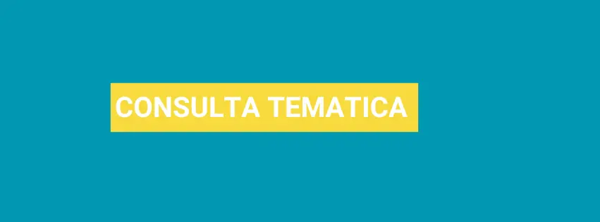 Consulta politiche giovanili 