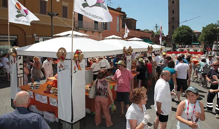 Antica fiera di luglio - Medicipolla 3° giornata 