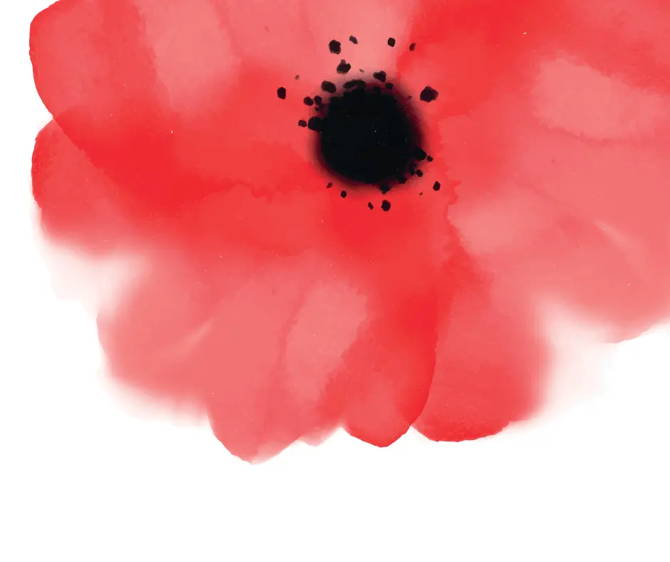 Commemorazione partigiani della Battaglia di Vigorso