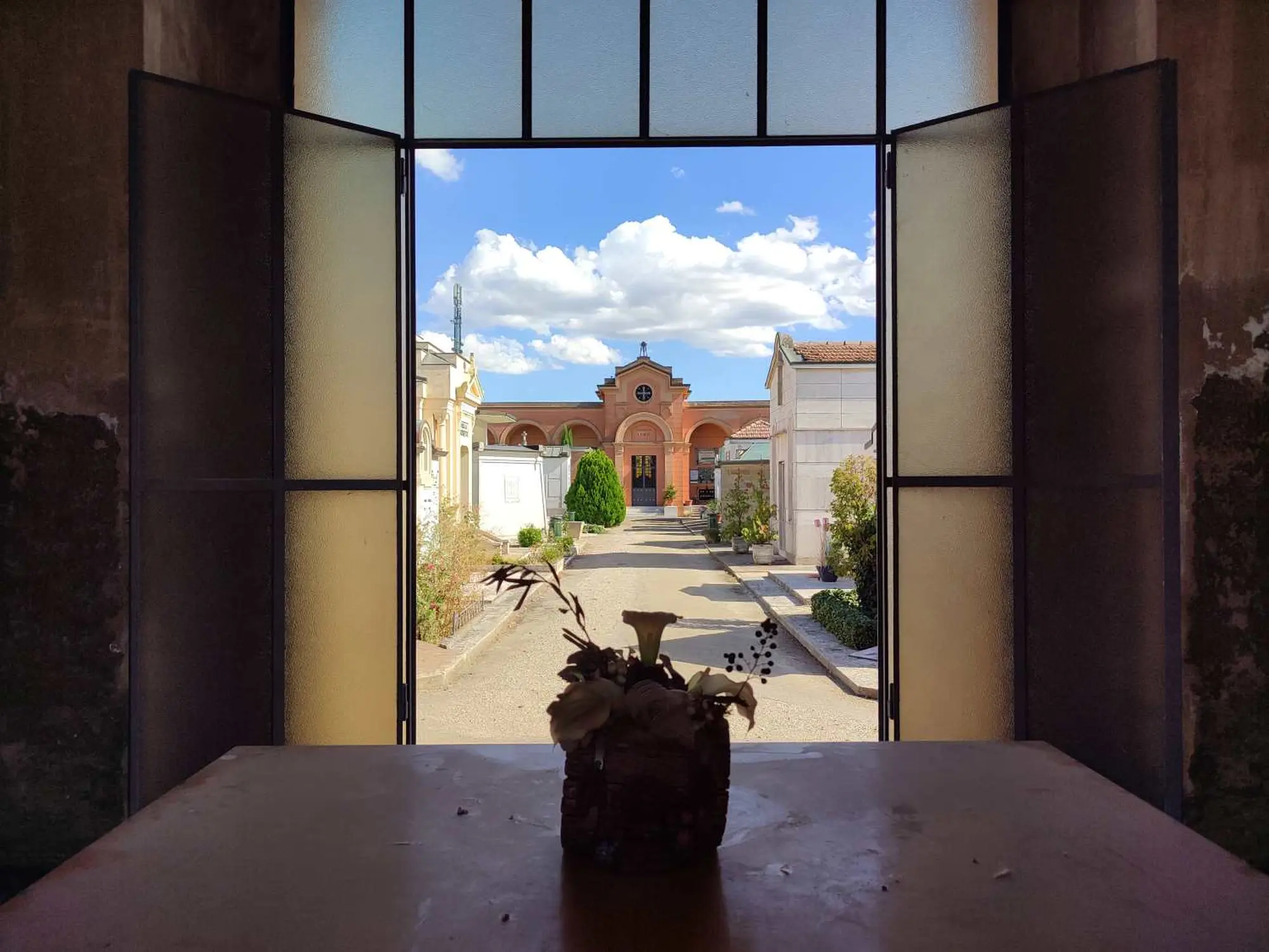 Medicina tra terra e memoria: da 