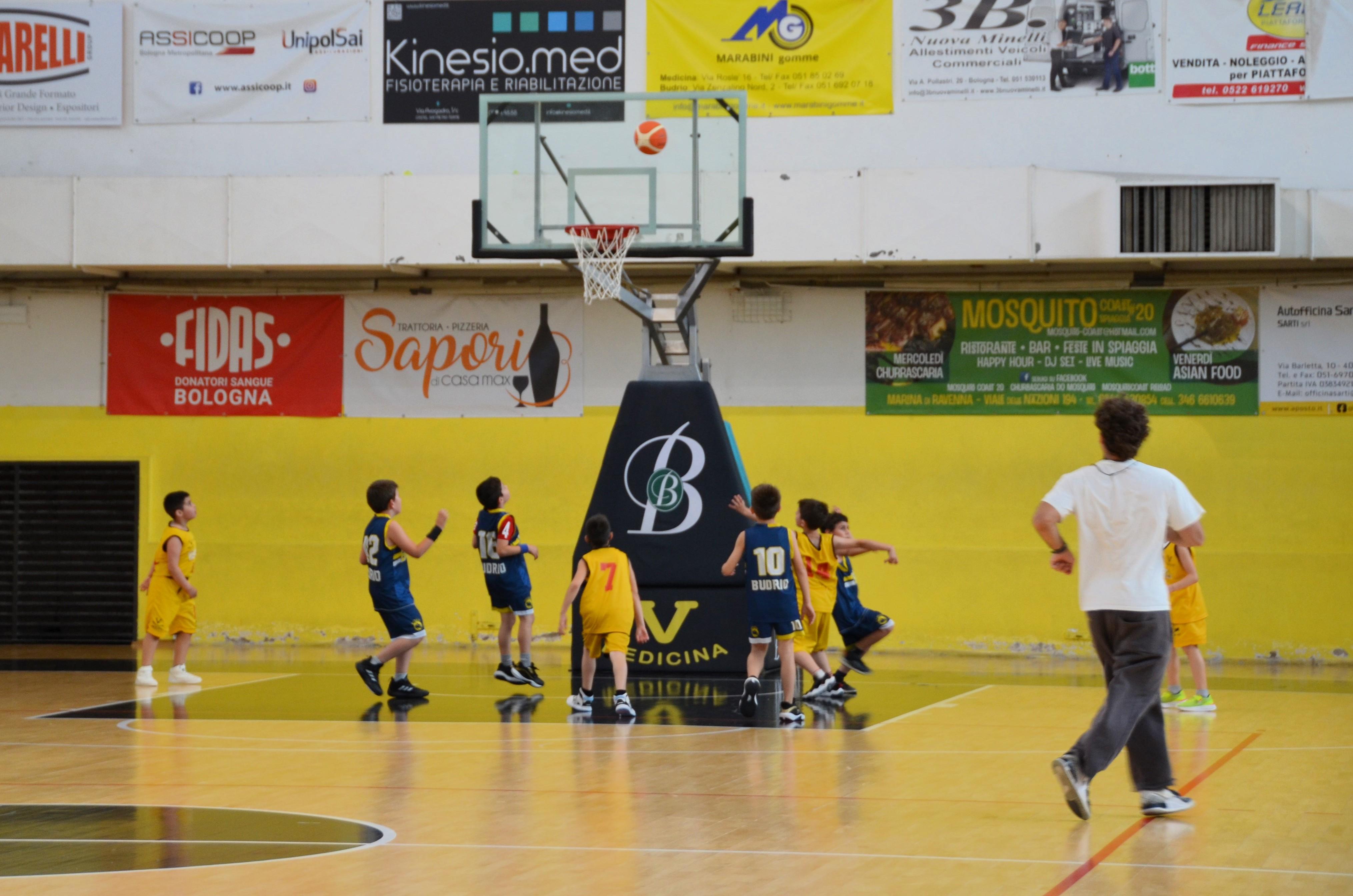 Palazzetto sport