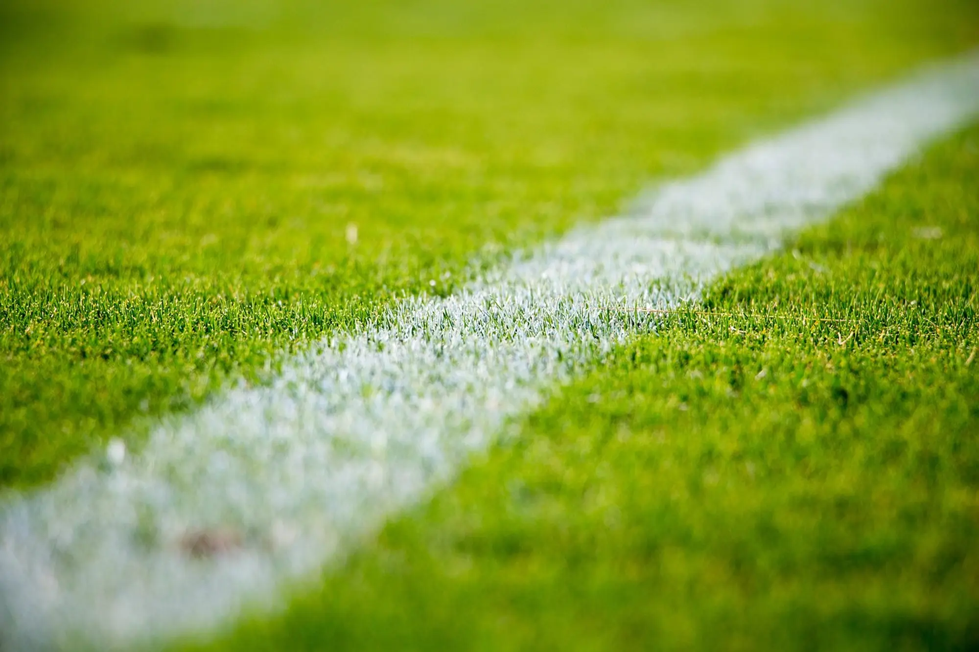 Campo sportivo Portonovo