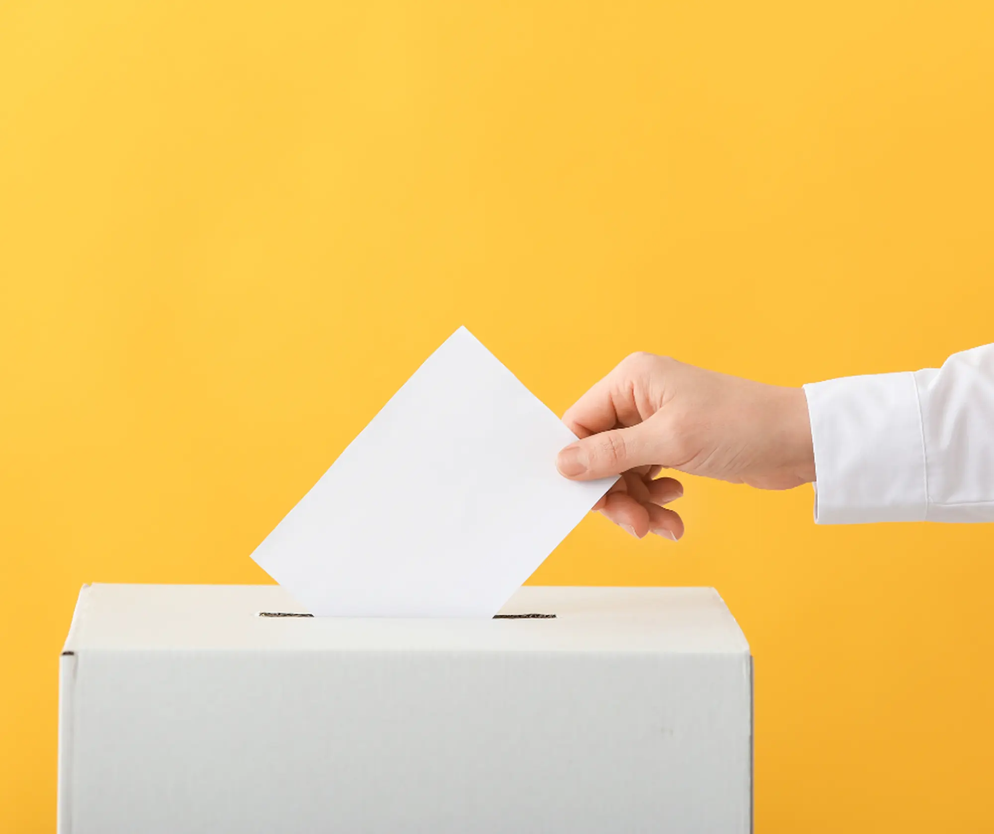 Designazione dei rappresentanti di lista presso gli Uffici di sezione