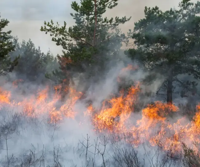 Attivazione fase di attenzione per gli incendi boschivi 