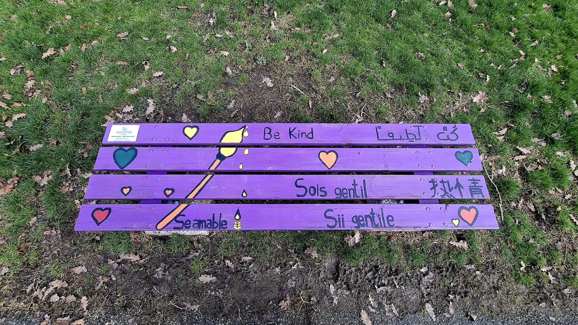 Comune di Medicina: “Una panchina in cerca di identità”