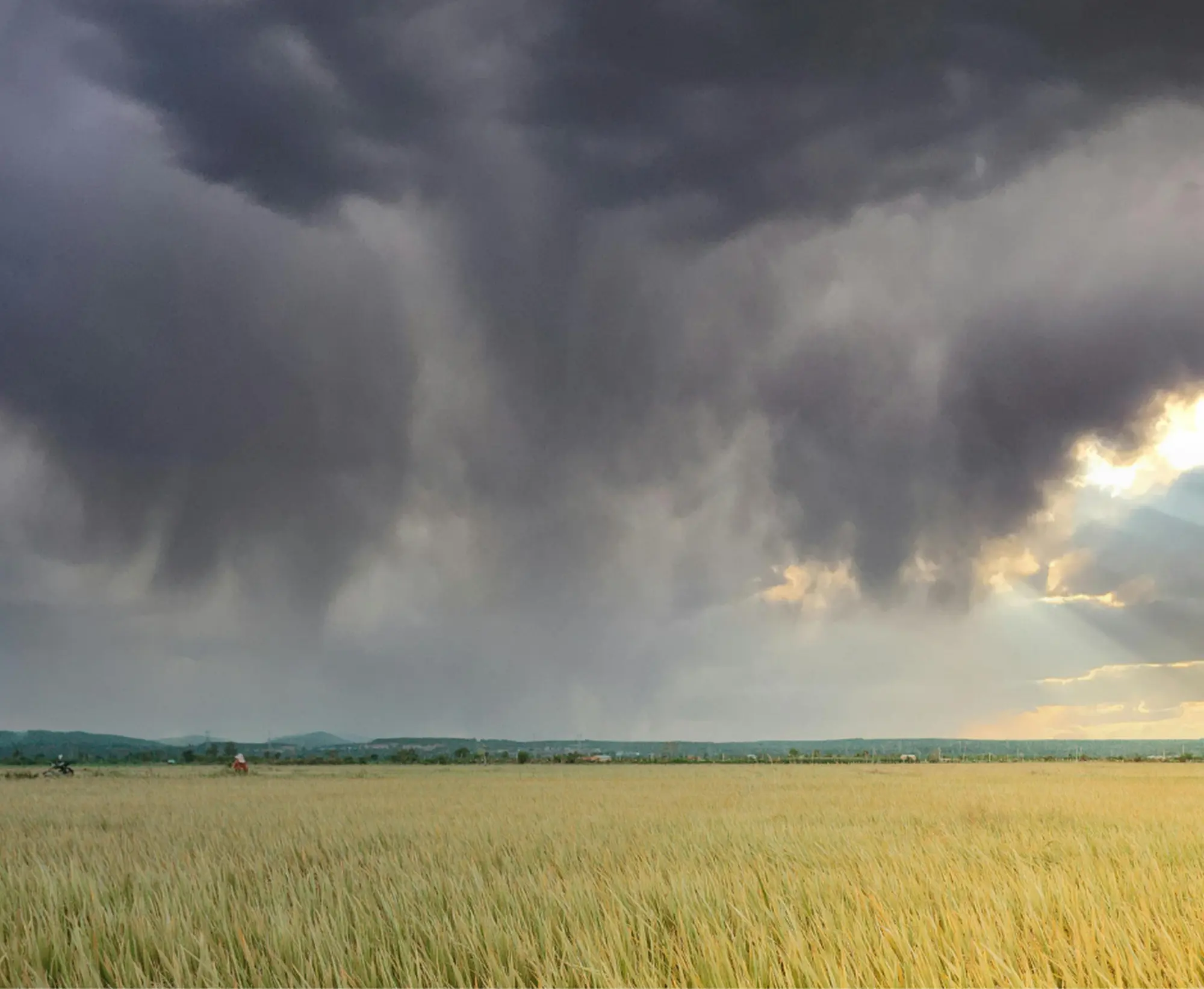Allerta meteo, martedì 21 luglio 