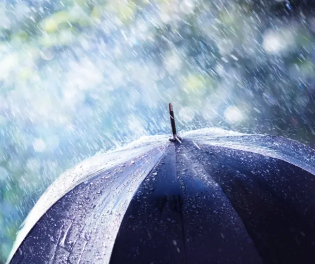 Allerta meteo, mercoledì 24 dicembre 